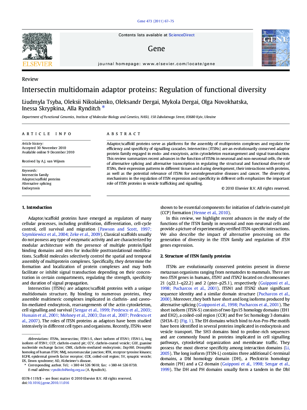 Intersectin multidomain adaptor proteins: Regulation of functional diversity