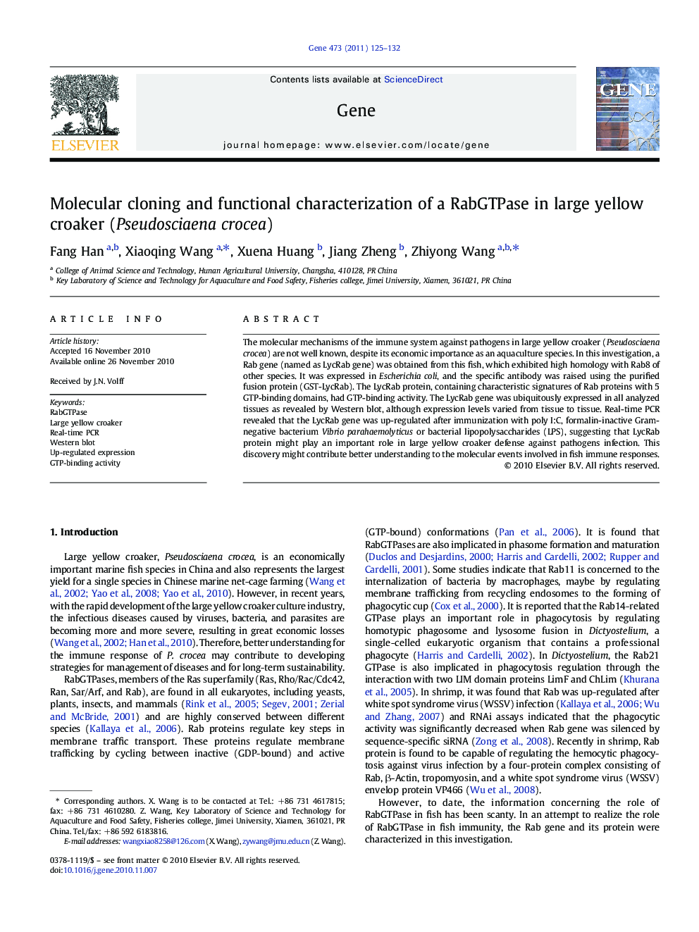 Molecular cloning and functional characterization of a RabGTPase in large yellow croaker (Pseudosciaena crocea)