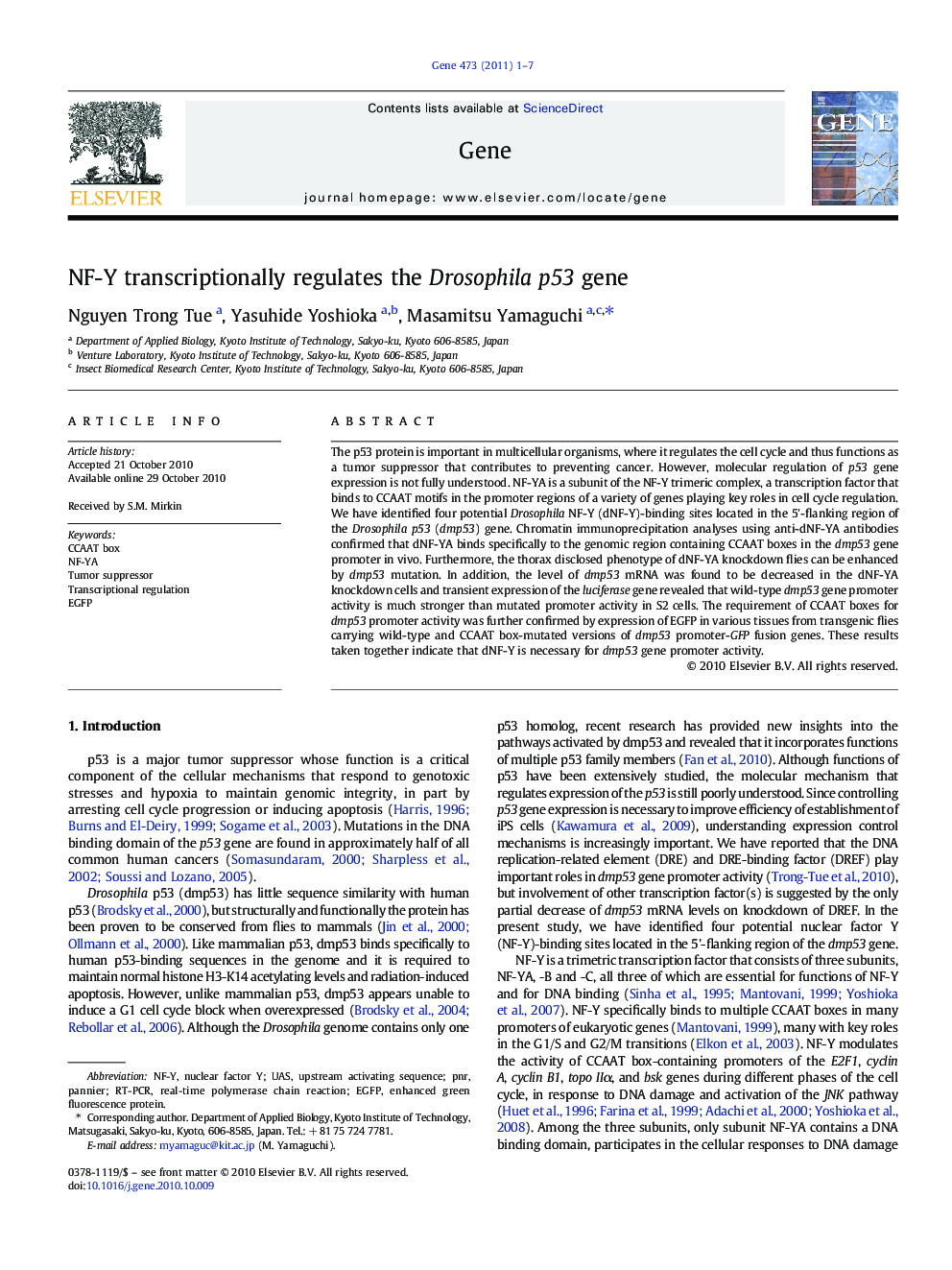 NF-Y transcriptionally regulates the Drosophila p53 gene