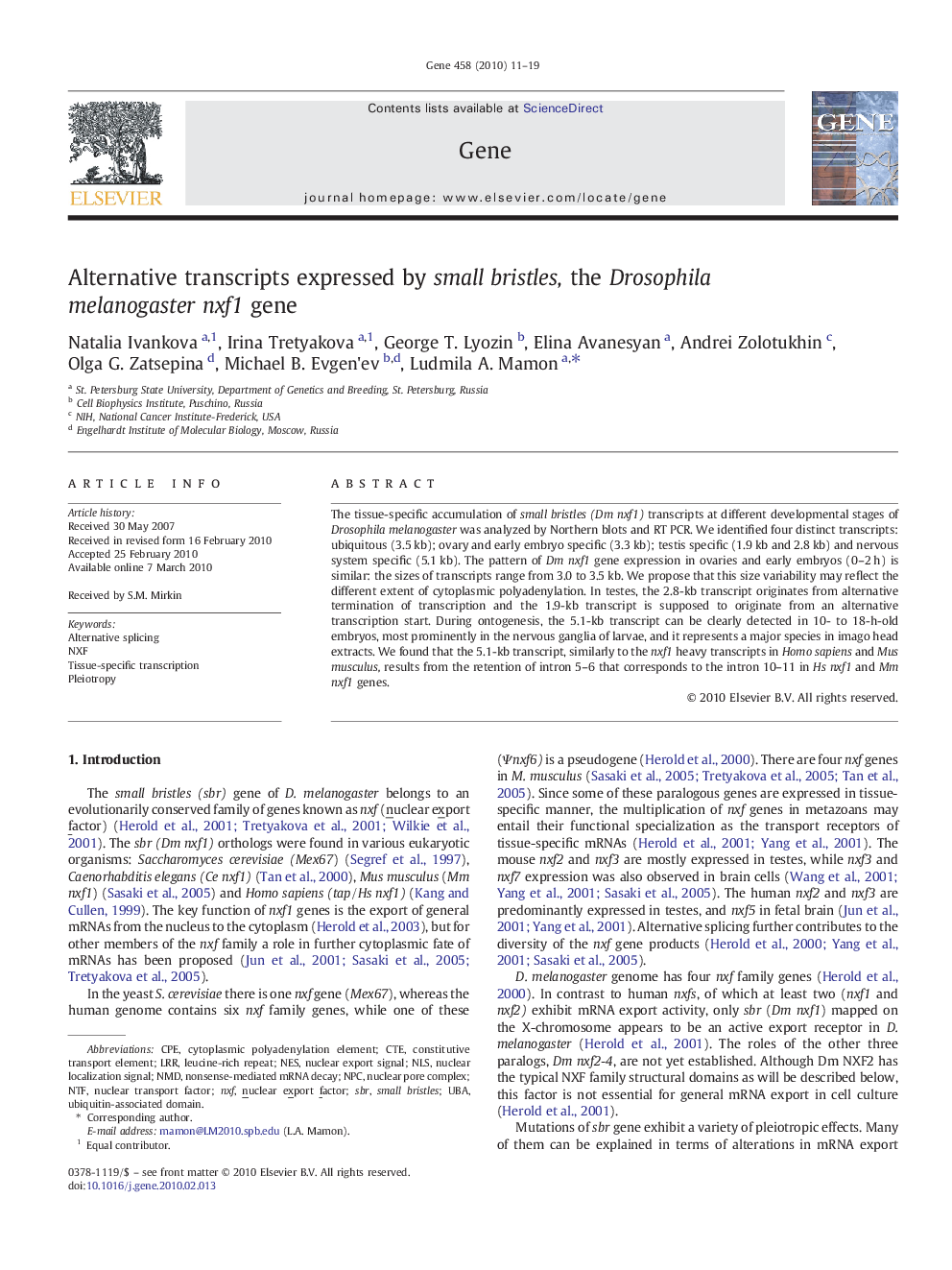 Alternative transcripts expressed by small bristles, the Drosophila melanogaster nxf1 gene