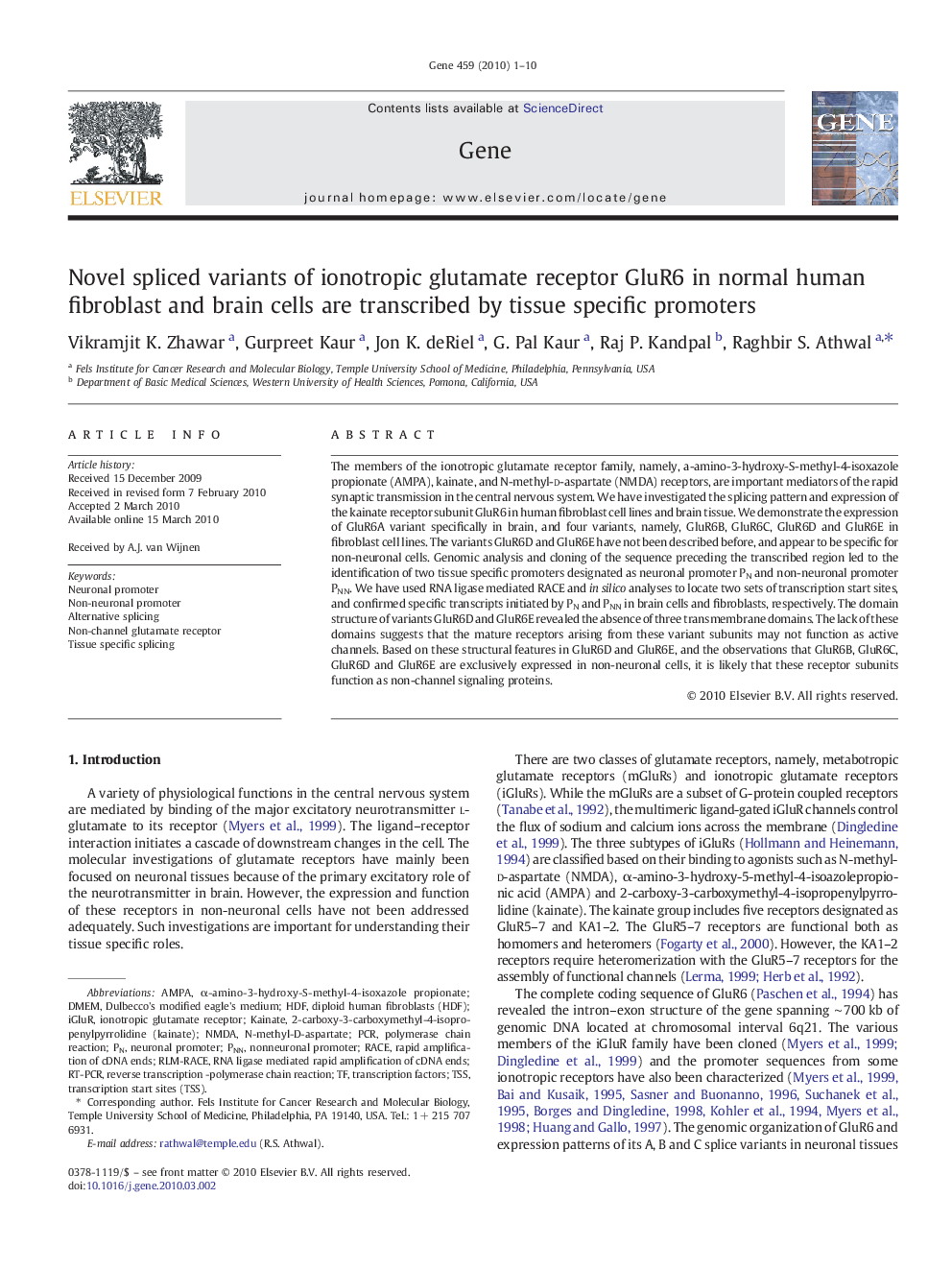 Novel spliced variants of ionotropic glutamate receptor GluR6 in normal human fibroblast and brain cells are transcribed by tissue specific promoters