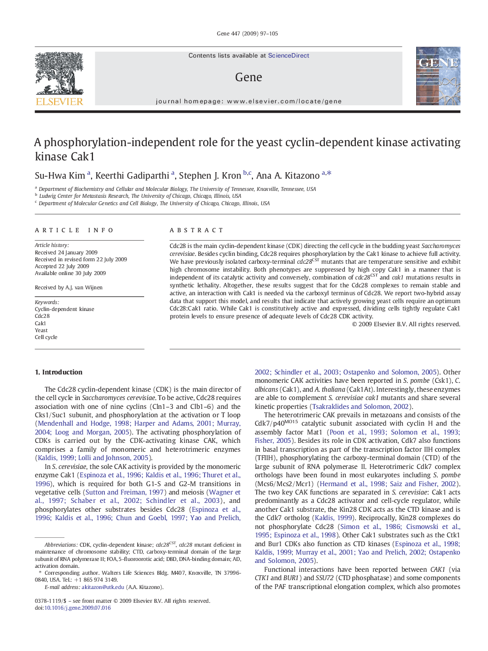 A phosphorylation-independent role for the yeast cyclin-dependent kinase activating kinase Cak1