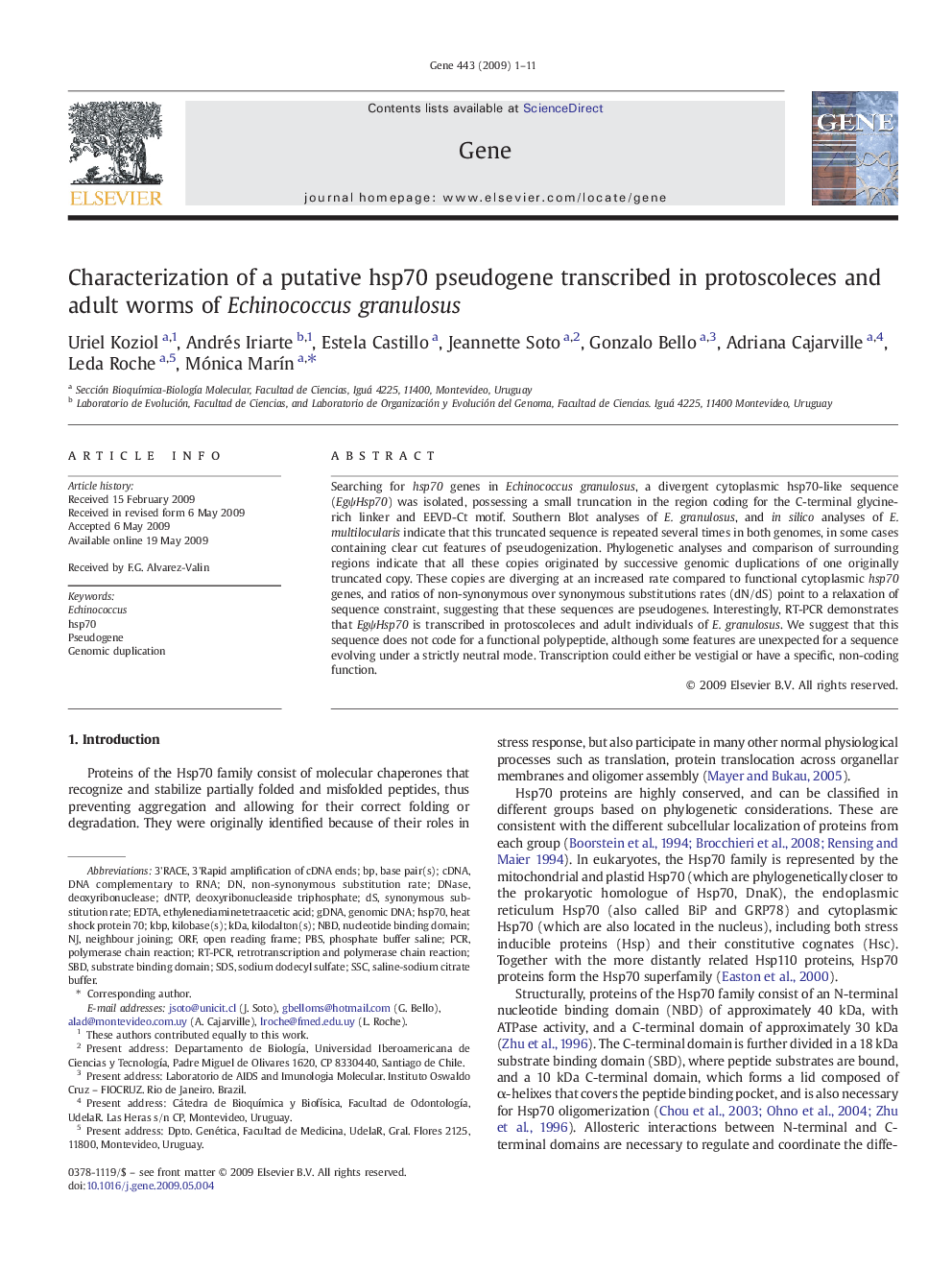 Characterization of a putative hsp70 pseudogene transcribed in protoscoleces and adult worms of Echinococcus granulosus