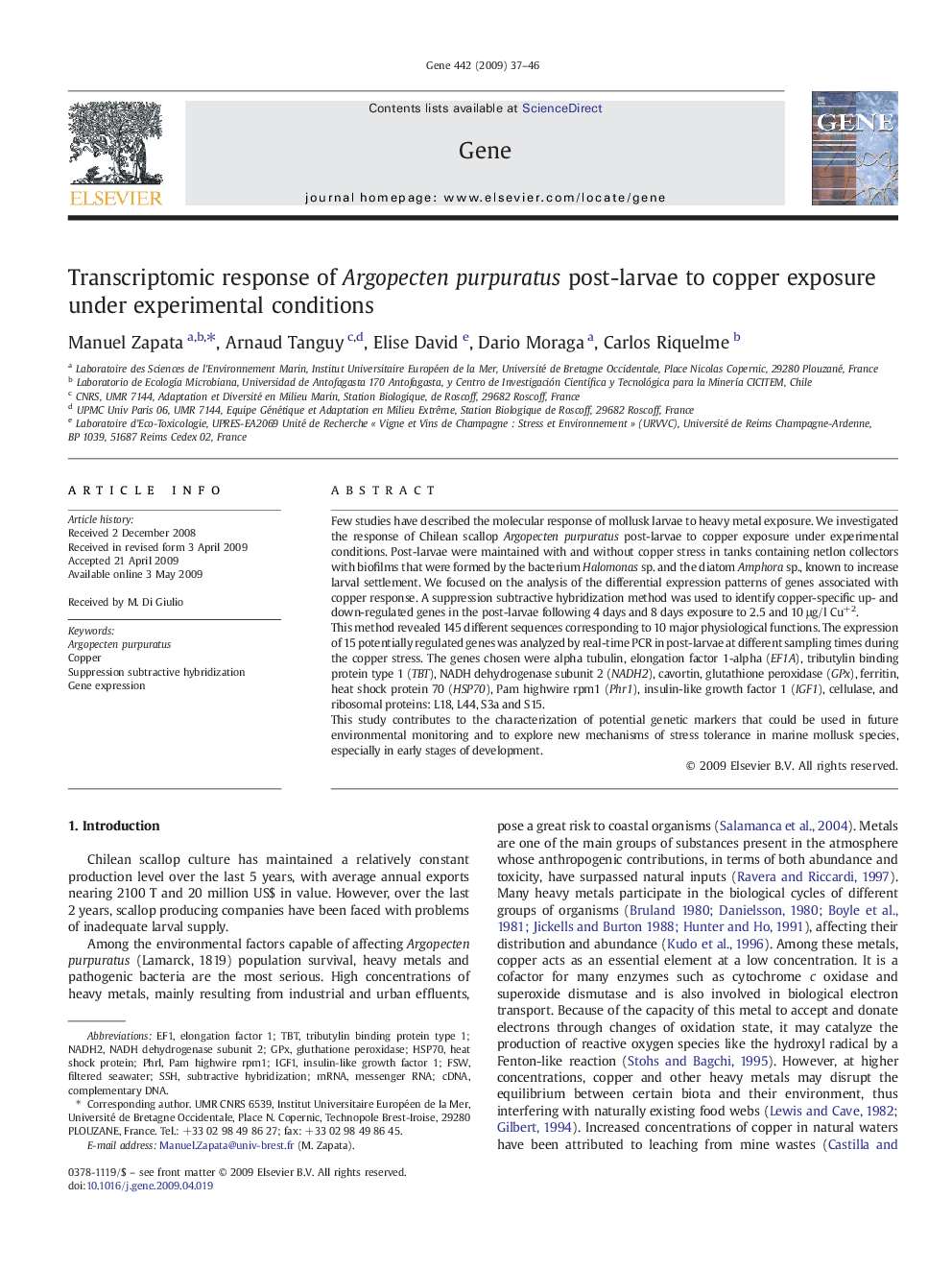 Transcriptomic response of Argopecten purpuratus post-larvae to copper exposure under experimental conditions