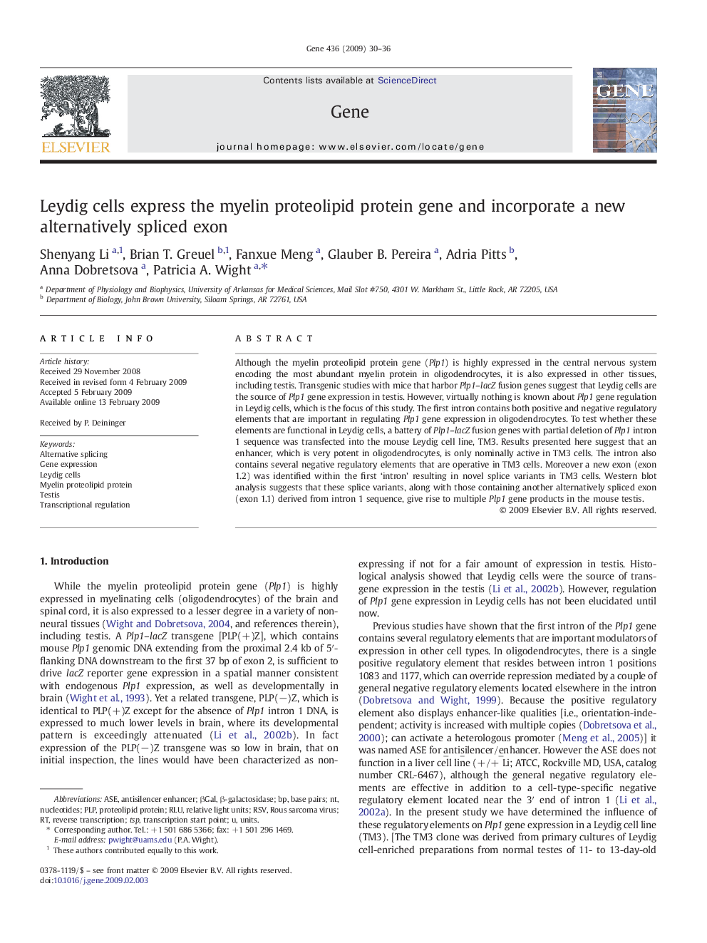 Leydig cells express the myelin proteolipid protein gene and incorporate a new alternatively spliced exon