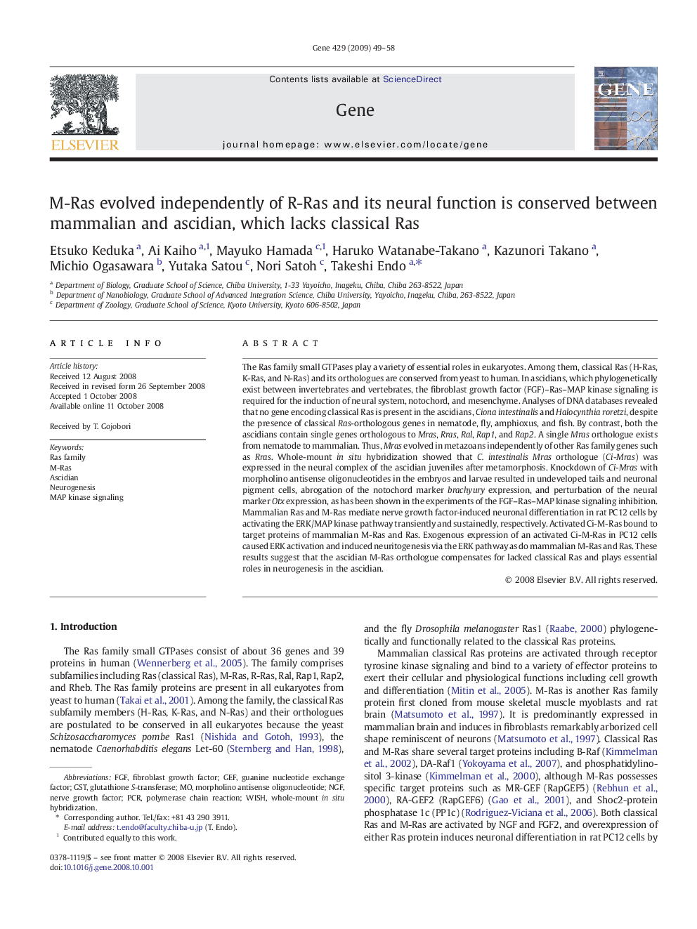 M-Ras evolved independently of R-Ras and its neural function is conserved between mammalian and ascidian, which lacks classical Ras