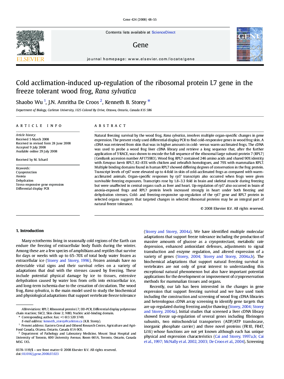 Cold acclimation-induced up-regulation of the ribosomal protein L7 gene in the freeze tolerant wood frog, Rana sylvatica