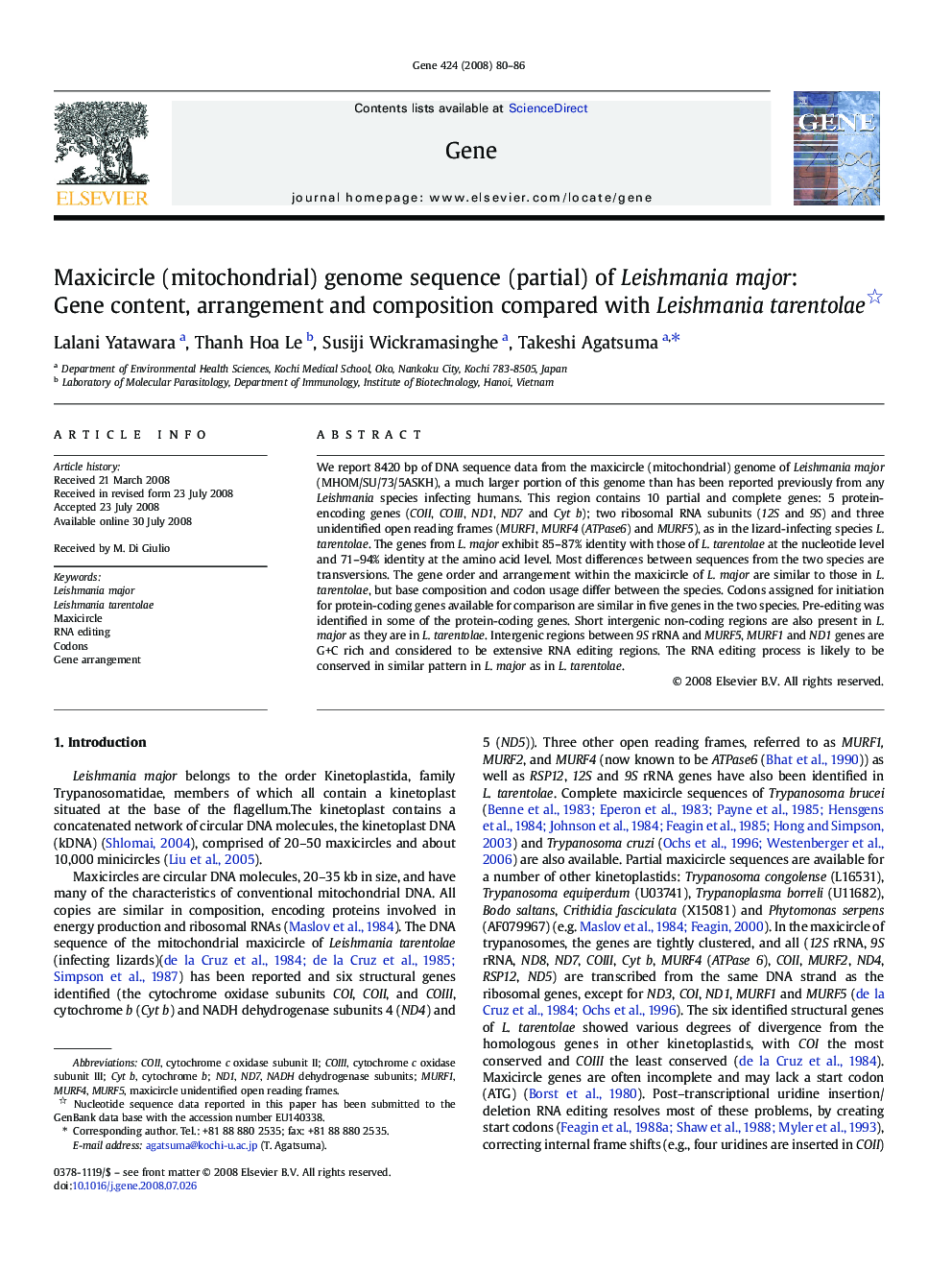 Maxicircle (mitochondrial) genome sequence (partial) of Leishmania major: Gene content, arrangement and composition compared with Leishmania tarentolae 