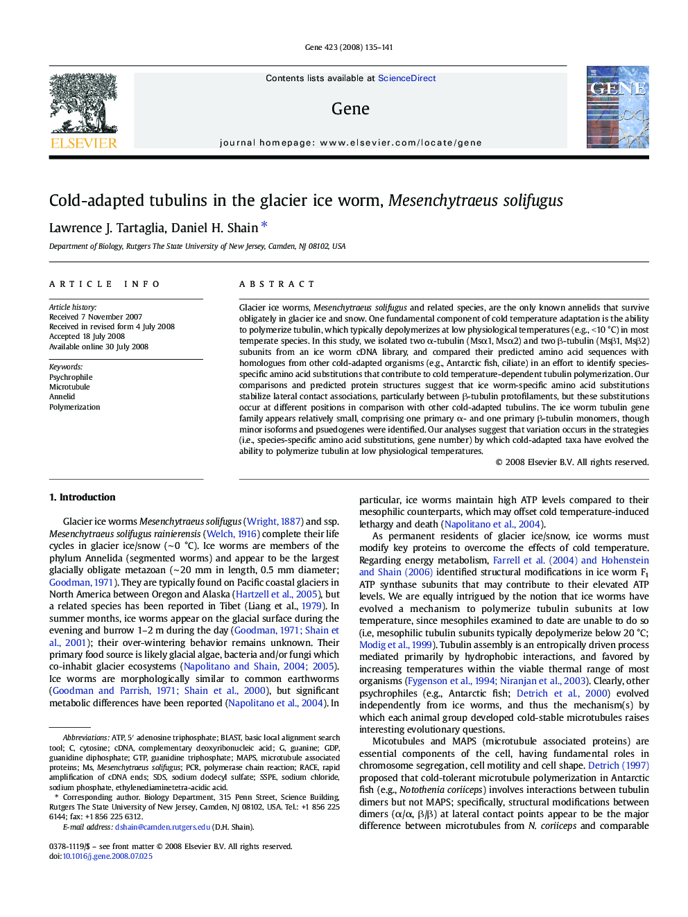 Cold-adapted tubulins in the glacier ice worm, Mesenchytraeus solifugus