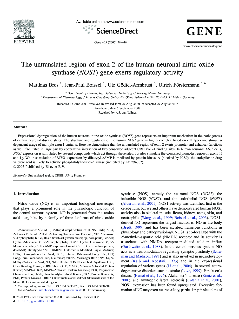 The untranslated region of exon 2 of the human neuronal nitric oxide synthase (NOS1) gene exerts regulatory activity