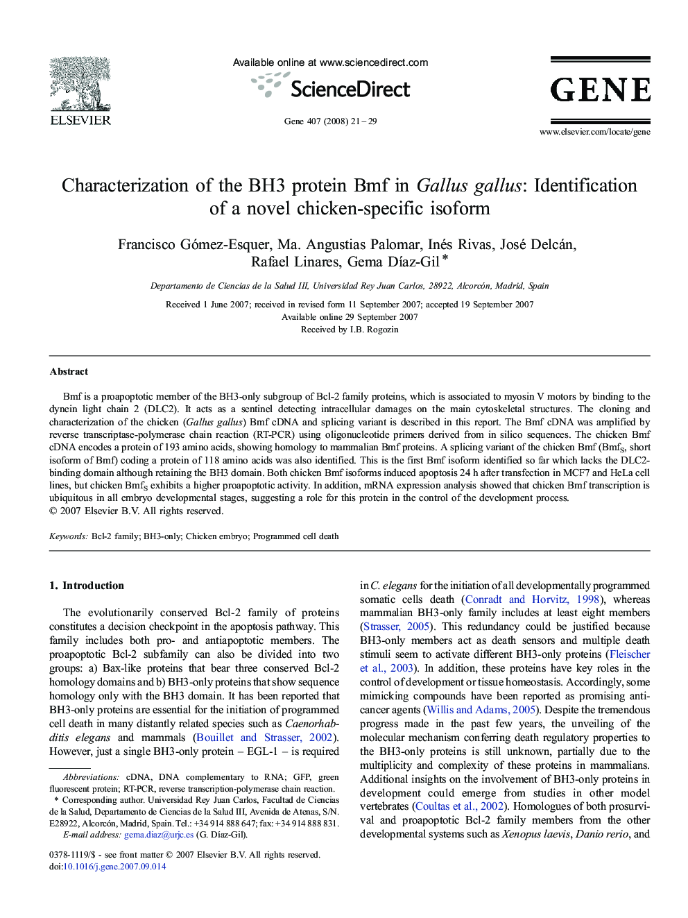 Characterization of the BH3 protein Bmf in Gallus gallus: Identification of a novel chicken-specific isoform