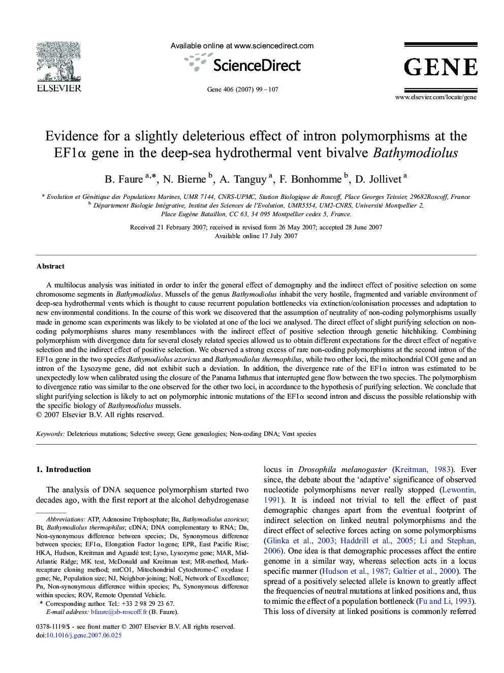 Evidence for a slightly deleterious effect of intron polymorphisms at the EF1α gene in the deep-sea hydrothermal vent bivalve Bathymodiolus