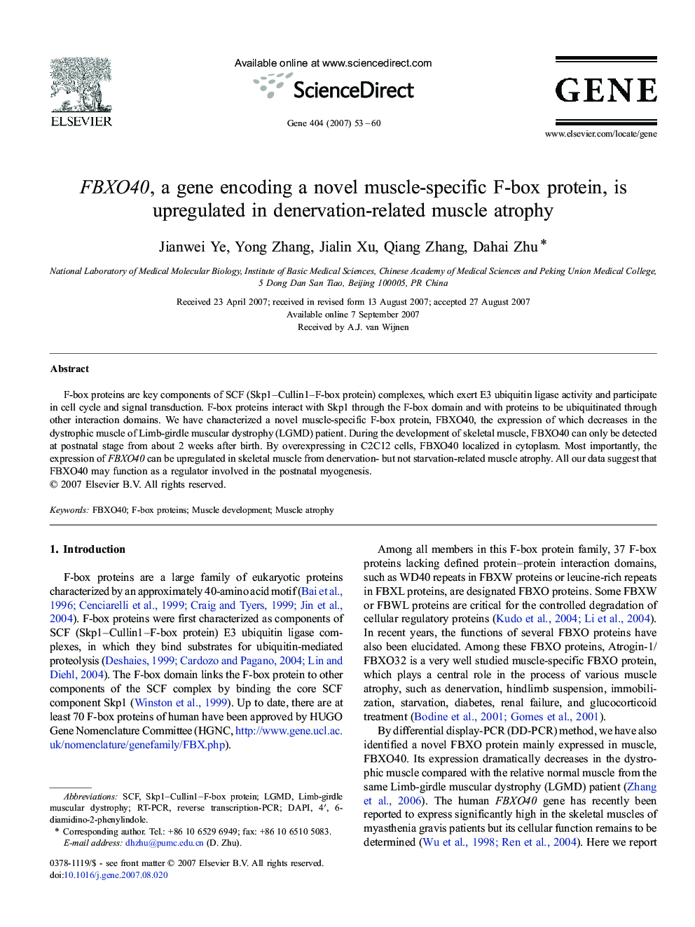 FBXO40, a gene encoding a novel muscle-specific F-box protein, is upregulated in denervation-related muscle atrophy