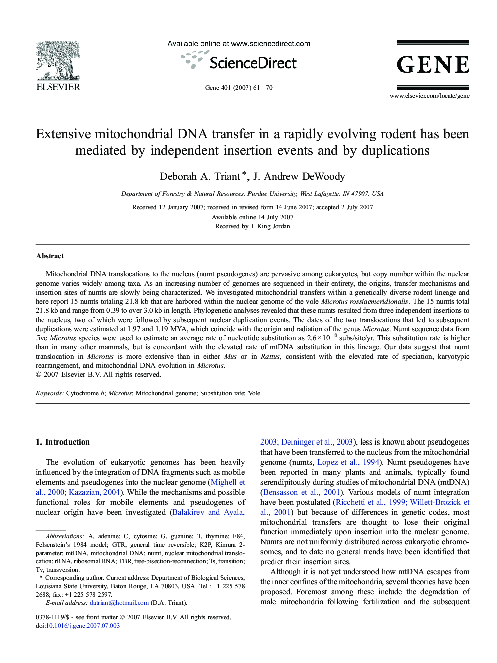 Extensive mitochondrial DNA transfer in a rapidly evolving rodent has been mediated by independent insertion events and by duplications