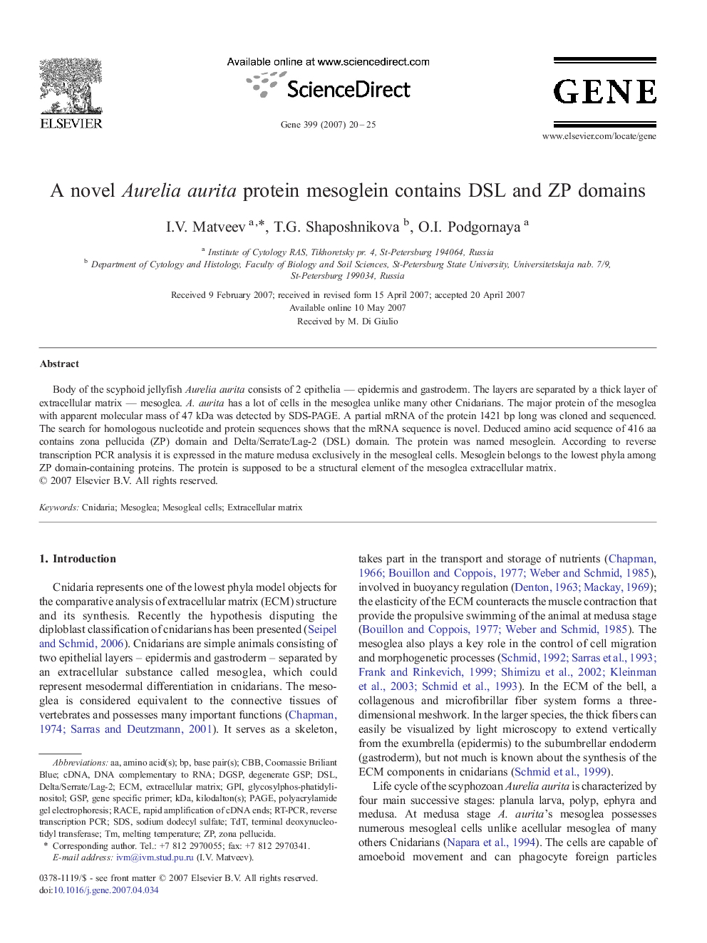 A novel Aurelia aurita protein mesoglein contains DSL and ZP domains