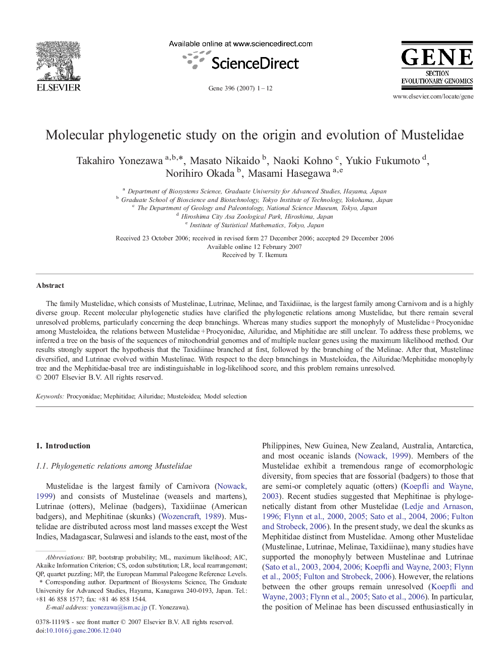 Molecular phylogenetic study on the origin and evolution of Mustelidae