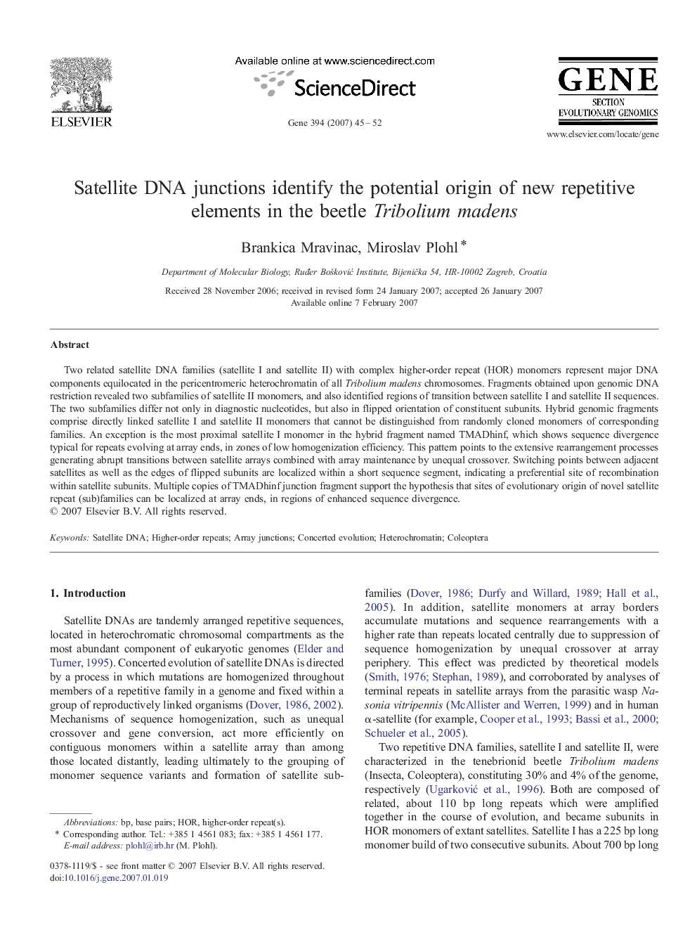 Satellite DNA junctions identify the potential origin of new repetitive elements in the beetle Tribolium madens