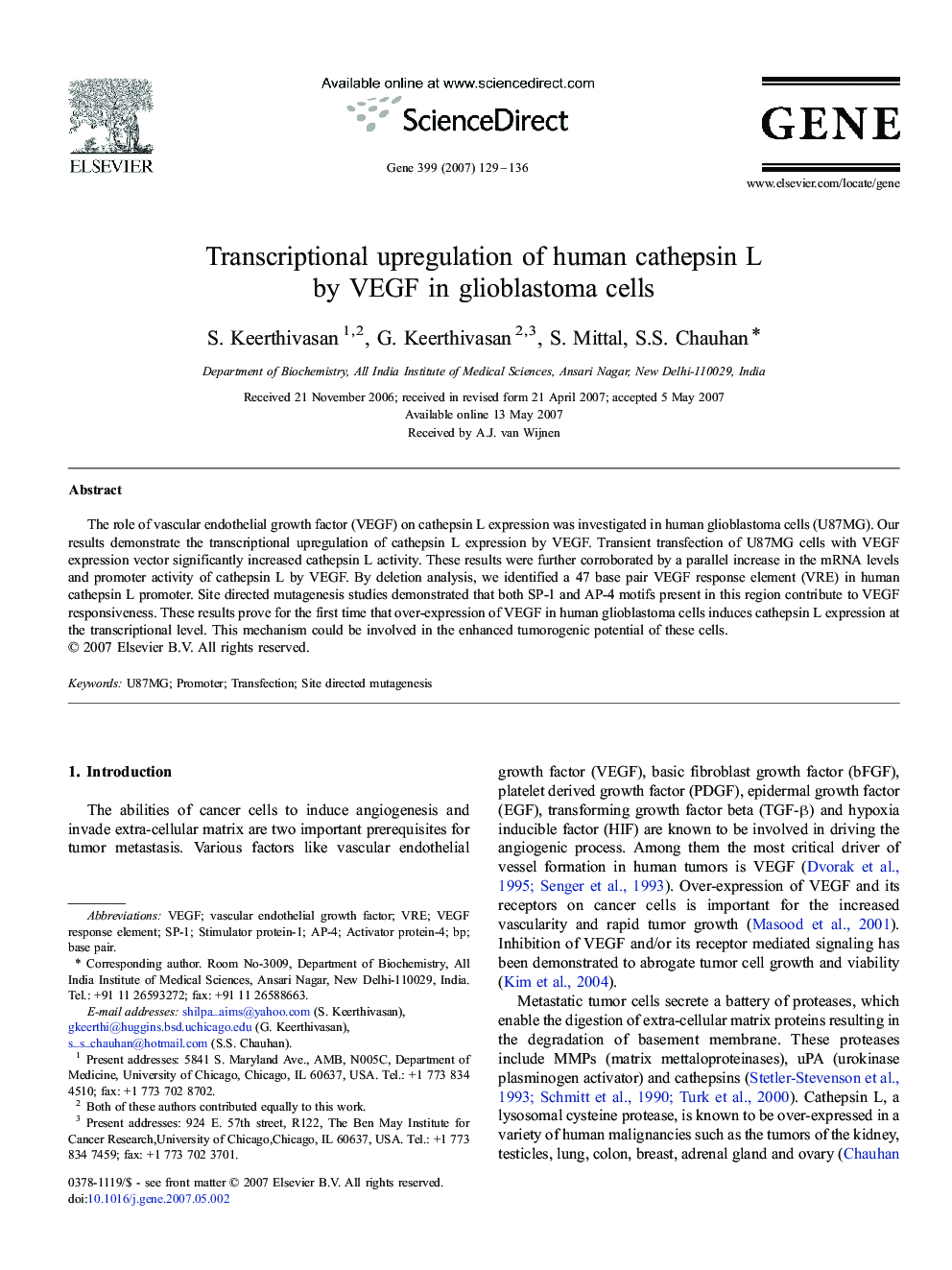 Transcriptional upregulation of human cathepsin L by VEGF in glioblastoma cells