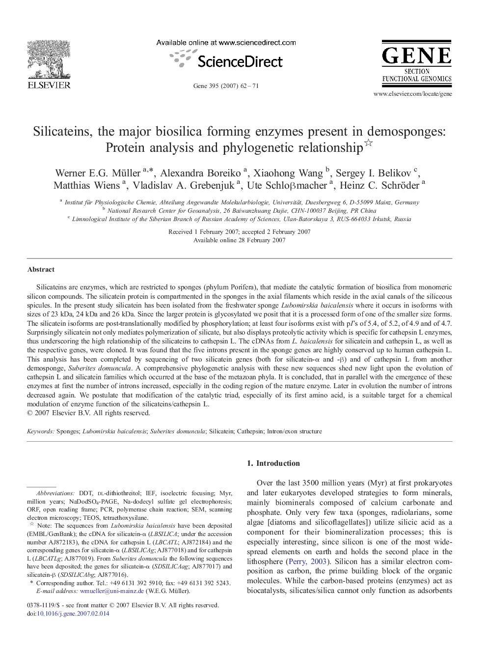 Silicateins, the major biosilica forming enzymes present in demosponges: Protein analysis and phylogenetic relationship 