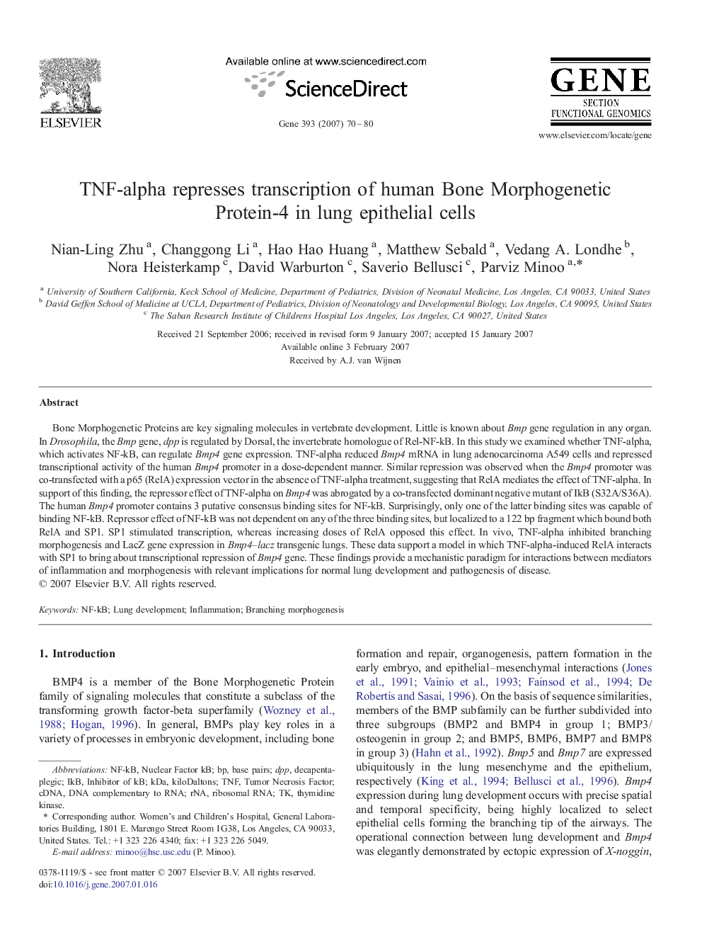 TNF-alpha represses transcription of human Bone Morphogenetic Protein-4 in lung epithelial cells