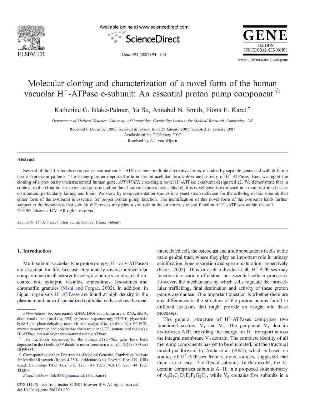 Molecular cloning and characterization of a novel form of the human vacuolar H+-ATPase e-subunit: An essential proton pump component 