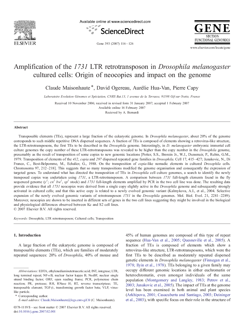 Amplification of the 1731 LTR retrotransposon in Drosophila melanogaster cultured cells: Origin of neocopies and impact on the genome