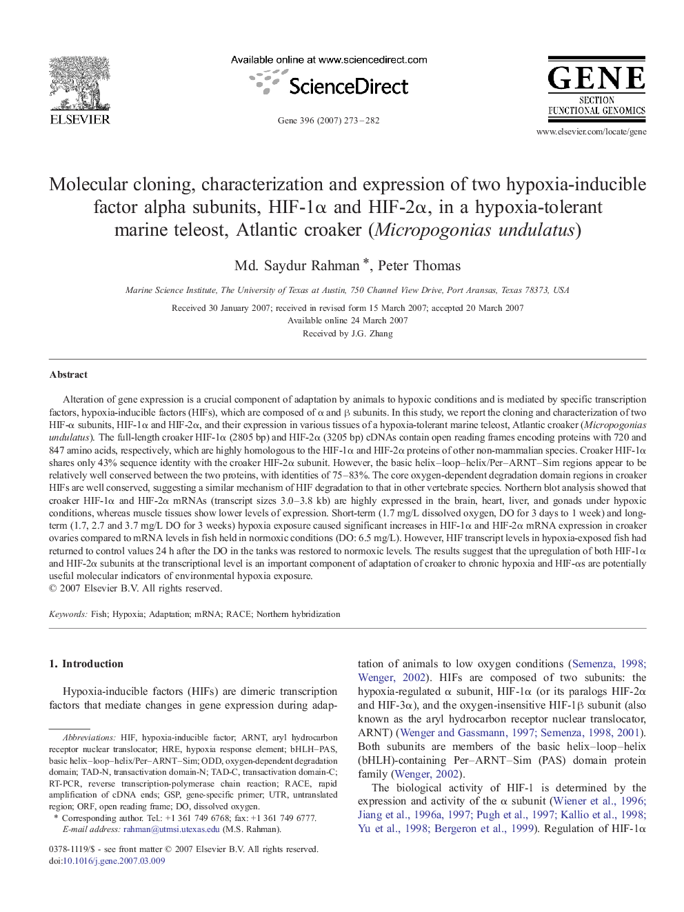 Molecular cloning, characterization and expression of two hypoxia-inducible factor alpha subunits, HIF-1α and HIF-2α, in a hypoxia-tolerant marine teleost, Atlantic croaker (Micropogonias undulatus)