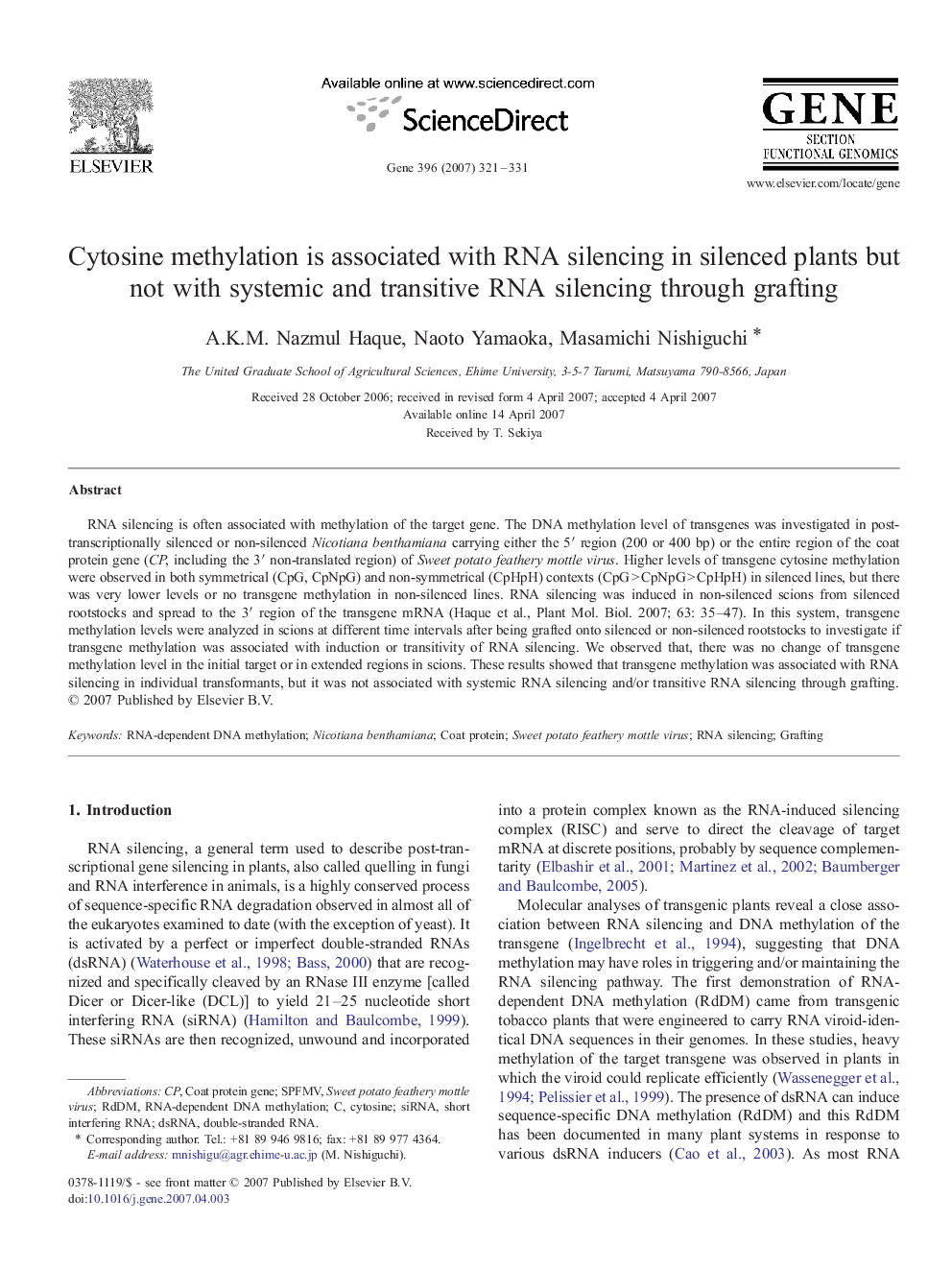 Cytosine methylation is associated with RNA silencing in silenced plants but not with systemic and transitive RNA silencing through grafting