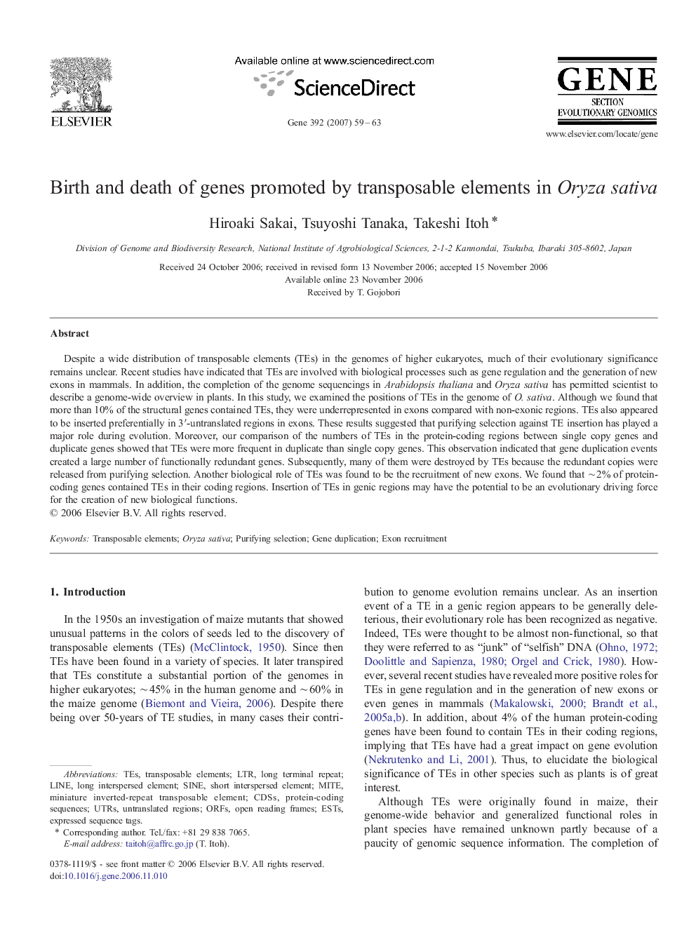 Birth and death of genes promoted by transposable elements in Oryza sativa