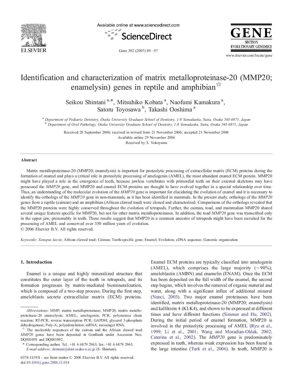 Identification and characterization of matrix metalloproteinase-20 (MMP20; enamelysin) genes in reptile and amphibian 