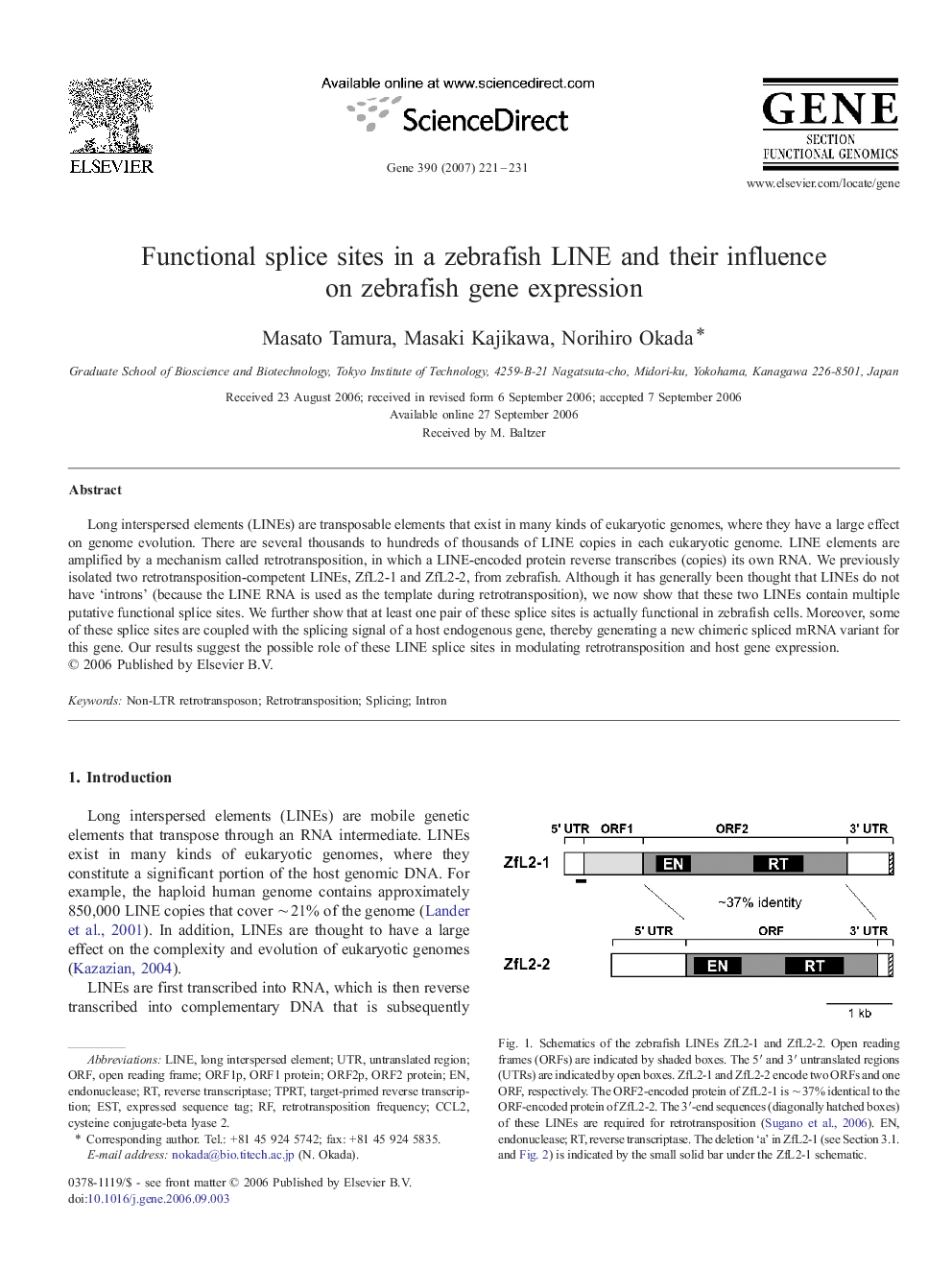 Functional splice sites in a zebrafish LINE and their influence on zebrafish gene expression