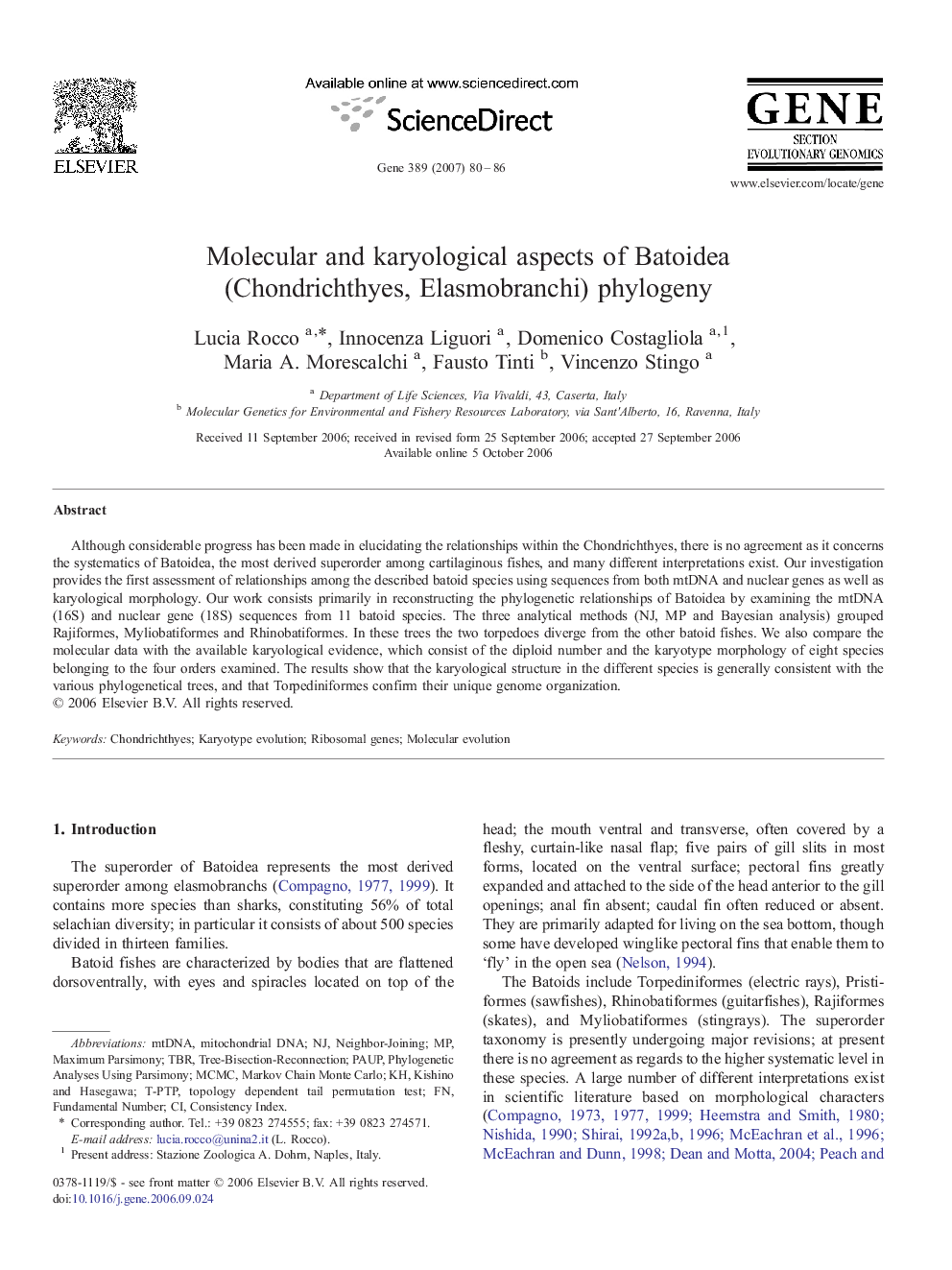 Molecular and karyological aspects of Batoidea (Chondrichthyes, Elasmobranchi) phylogeny