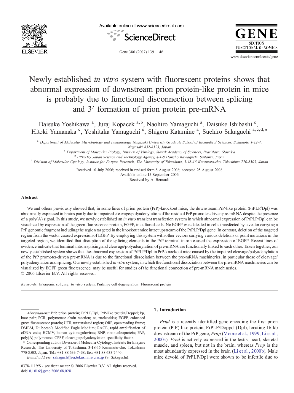 Newly established in vitro system with fluorescent proteins shows that abnormal expression of downstream prion protein-like protein in mice is probably due to functional disconnection between splicing and 3′ formation of prion protein pre-mRNA