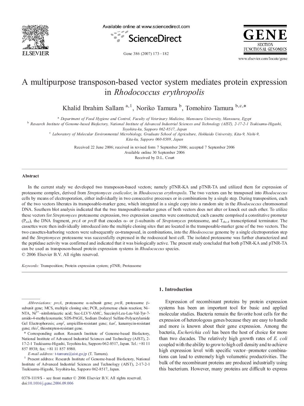 A multipurpose transposon-based vector system mediates protein expression in Rhodococcus erythropolis