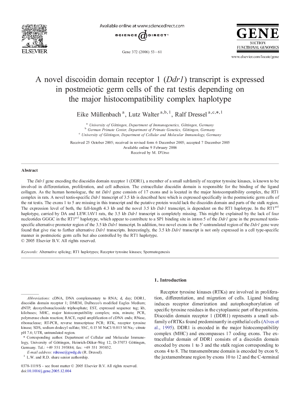 A novel discoidin domain receptor 1 (Ddr1) transcript is expressed in postmeiotic germ cells of the rat testis depending on the major histocompatibility complex haplotype