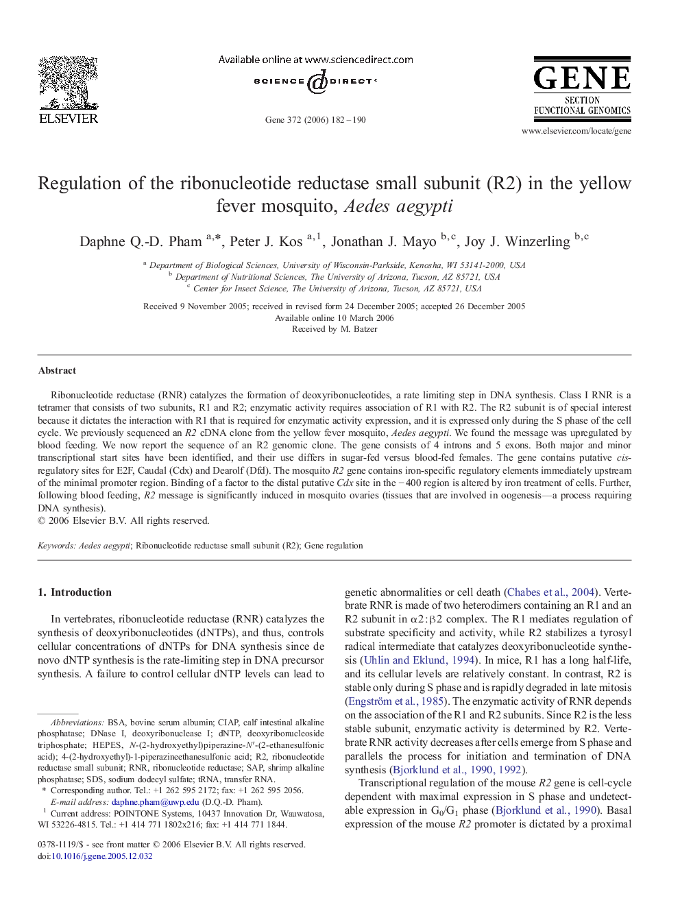 Regulation of the ribonucleotide reductase small subunit (R2) in the yellow fever mosquito, Aedes aegypti