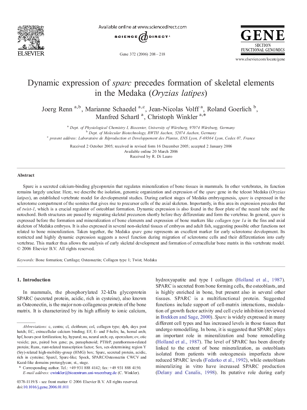 Dynamic expression of sparc precedes formation of skeletal elements in the Medaka (Oryzias latipes)