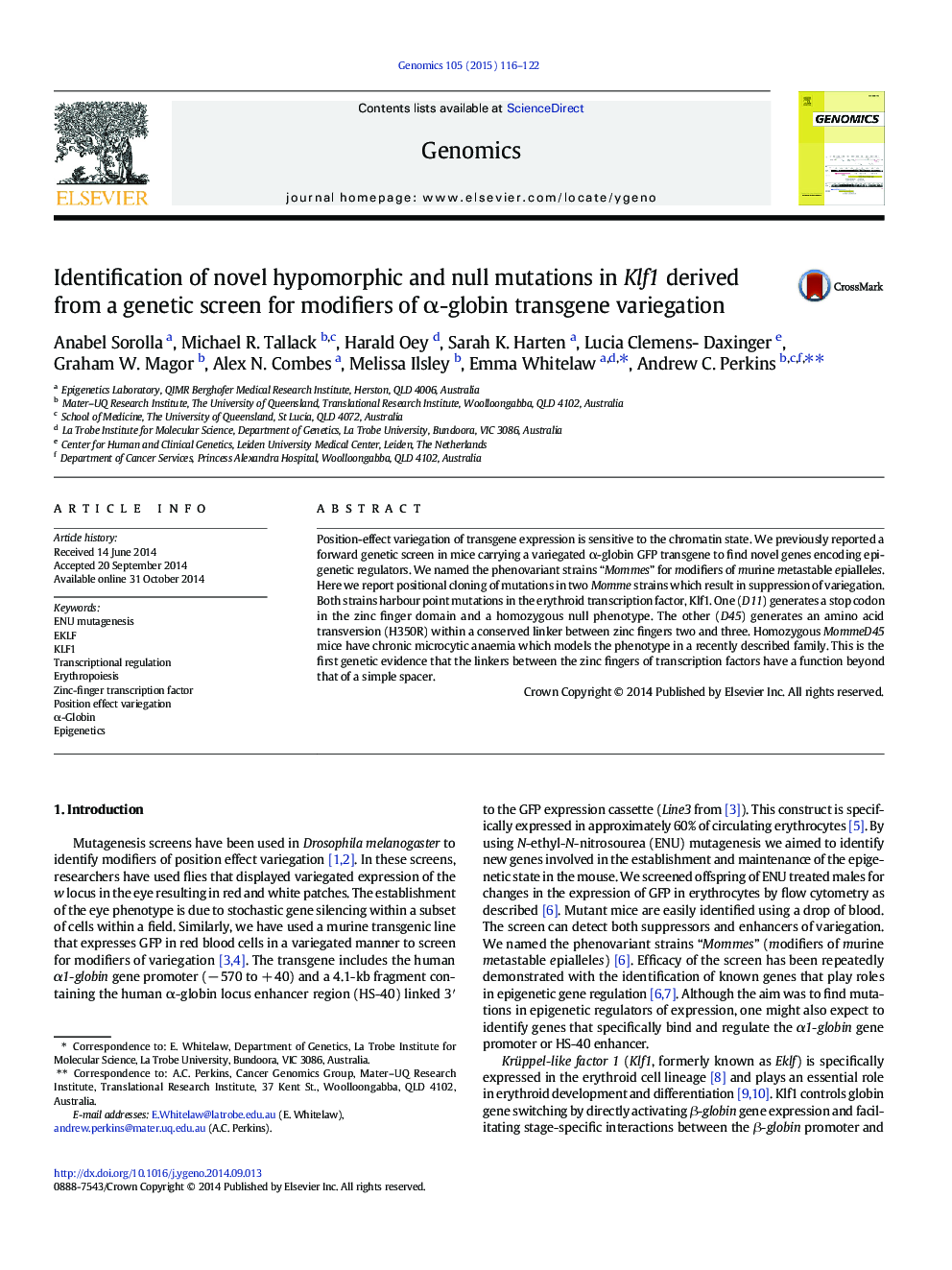 Identification of novel hypomorphic and null mutations in Klf1 derived from a genetic screen for modifiers of α-globin transgene variegation