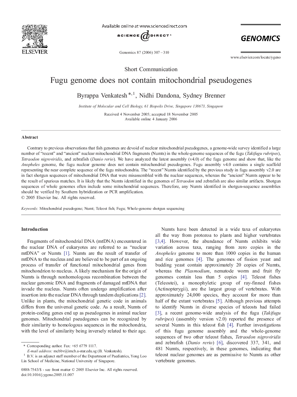 Fugu genome does not contain mitochondrial pseudogenes