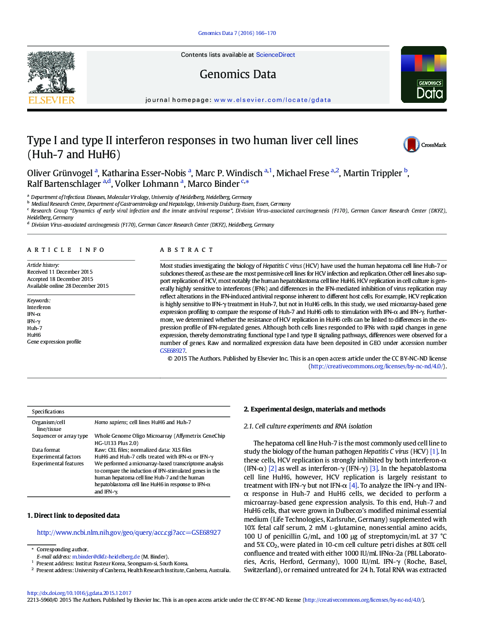 Type I and type II interferon responses in two human liver cell lines (Huh-7 and HuH6)