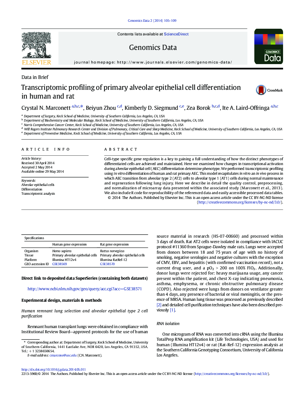 Transcriptomic profiling of primary alveolar epithelial cell differentiation in human and rat