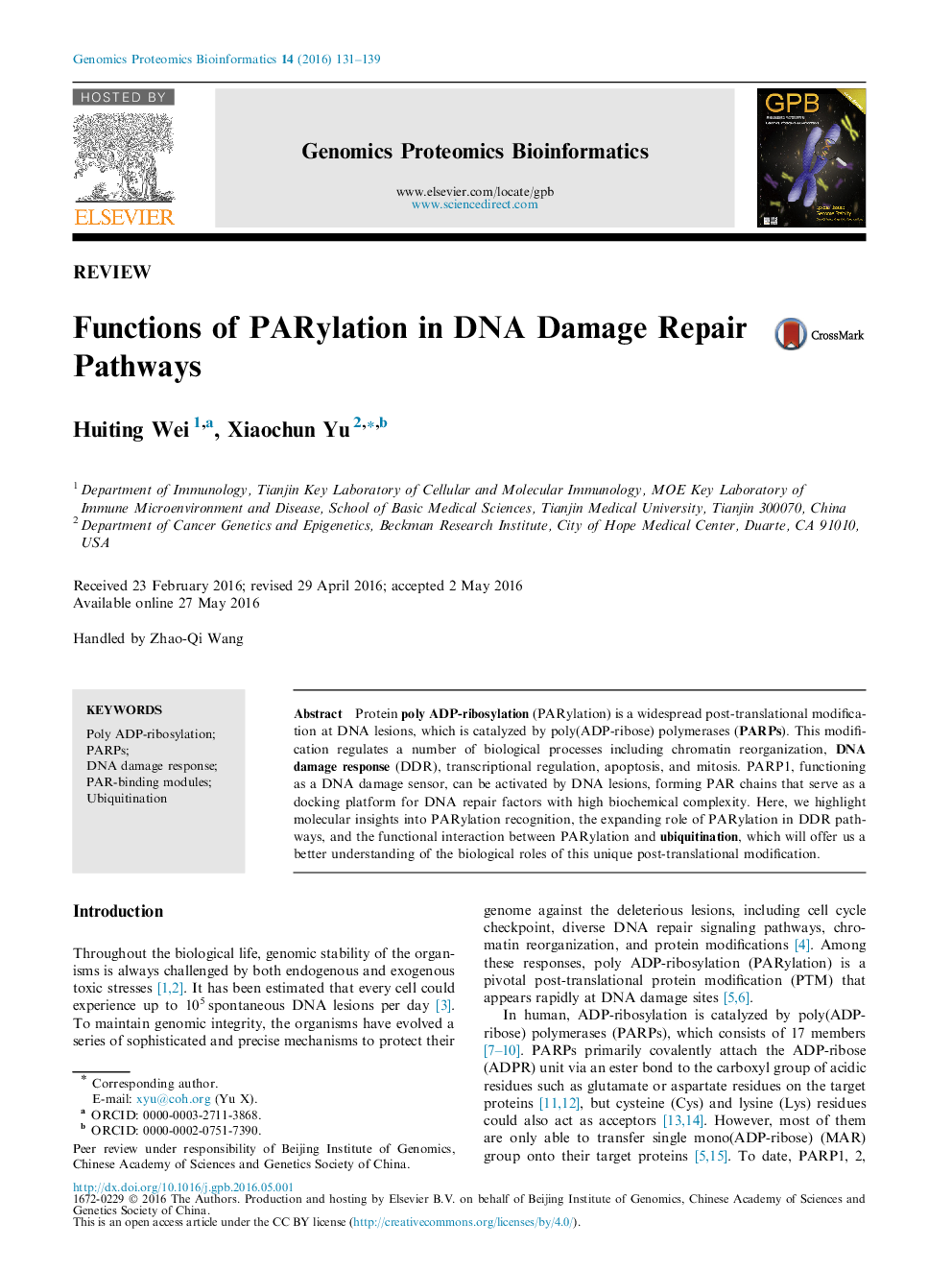 Functions of PARylation in DNA Damage Repair Pathways 