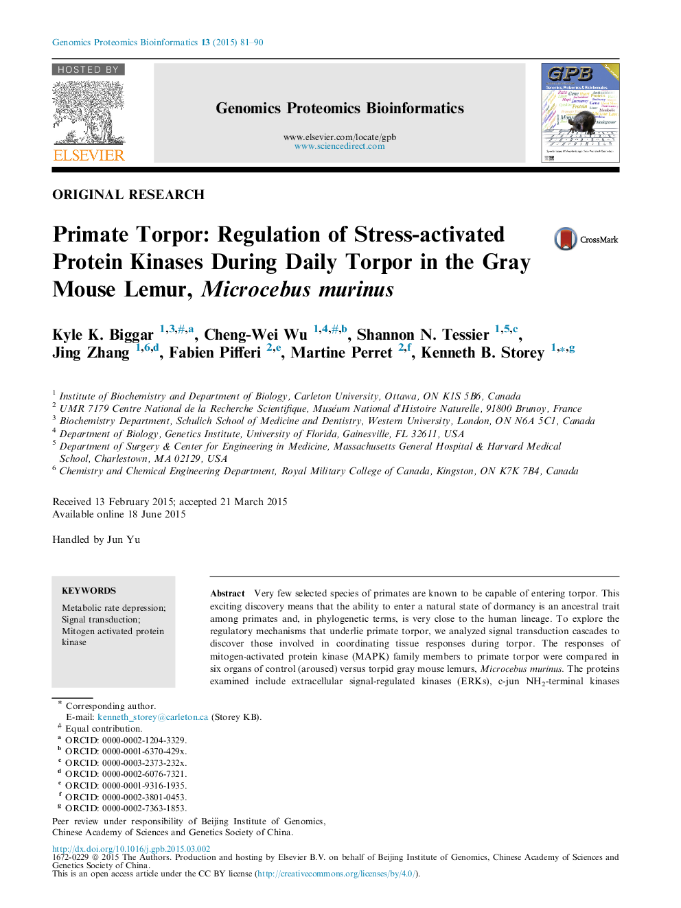 Primate Torpor: Regulation of Stress-activated Protein Kinases During Daily Torpor in the Gray Mouse Lemur, Microcebus murinus 