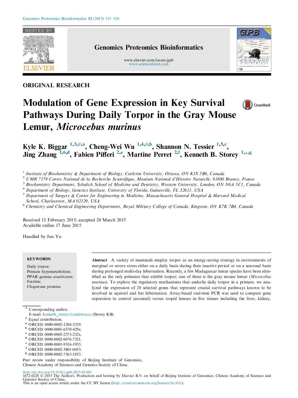 Modulation of Gene Expression in Key Survival Pathways During Daily Torpor in the Gray Mouse Lemur, Microcebus murinus 