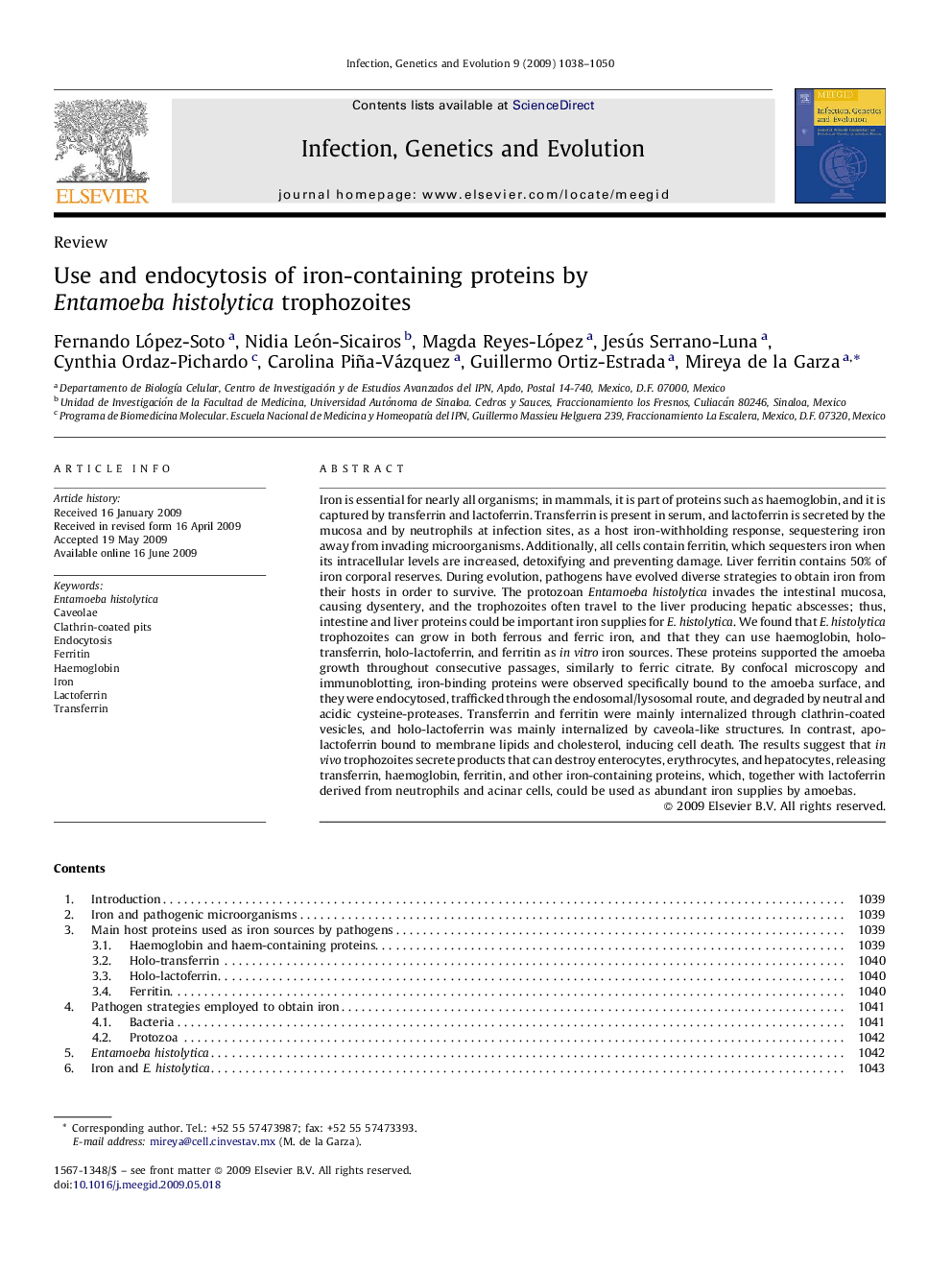 Use and endocytosis of iron-containing proteins by Entamoeba histolytica trophozoites