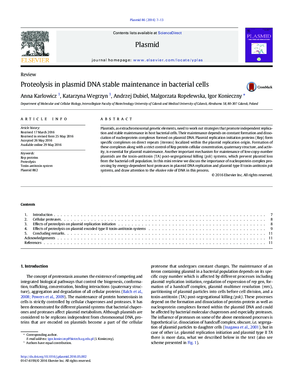 Proteolysis in plasmid DNA stable maintenance in bacterial cells