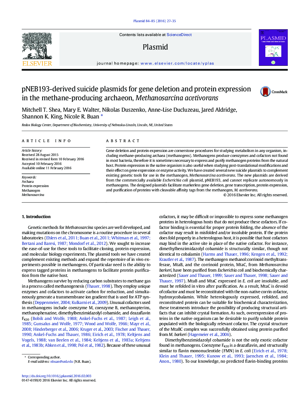 pNEB193-derived suicide plasmids for gene deletion and protein expression in the methane-producing archaeon, Methanosarcina acetivorans