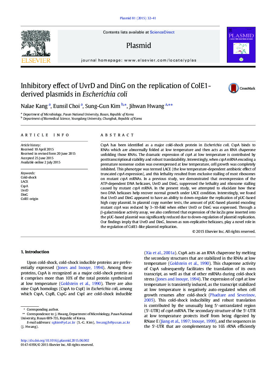 Inhibitory effect of UvrD and DinG on the replication of ColE1-derived plasmids in Escherichia coli