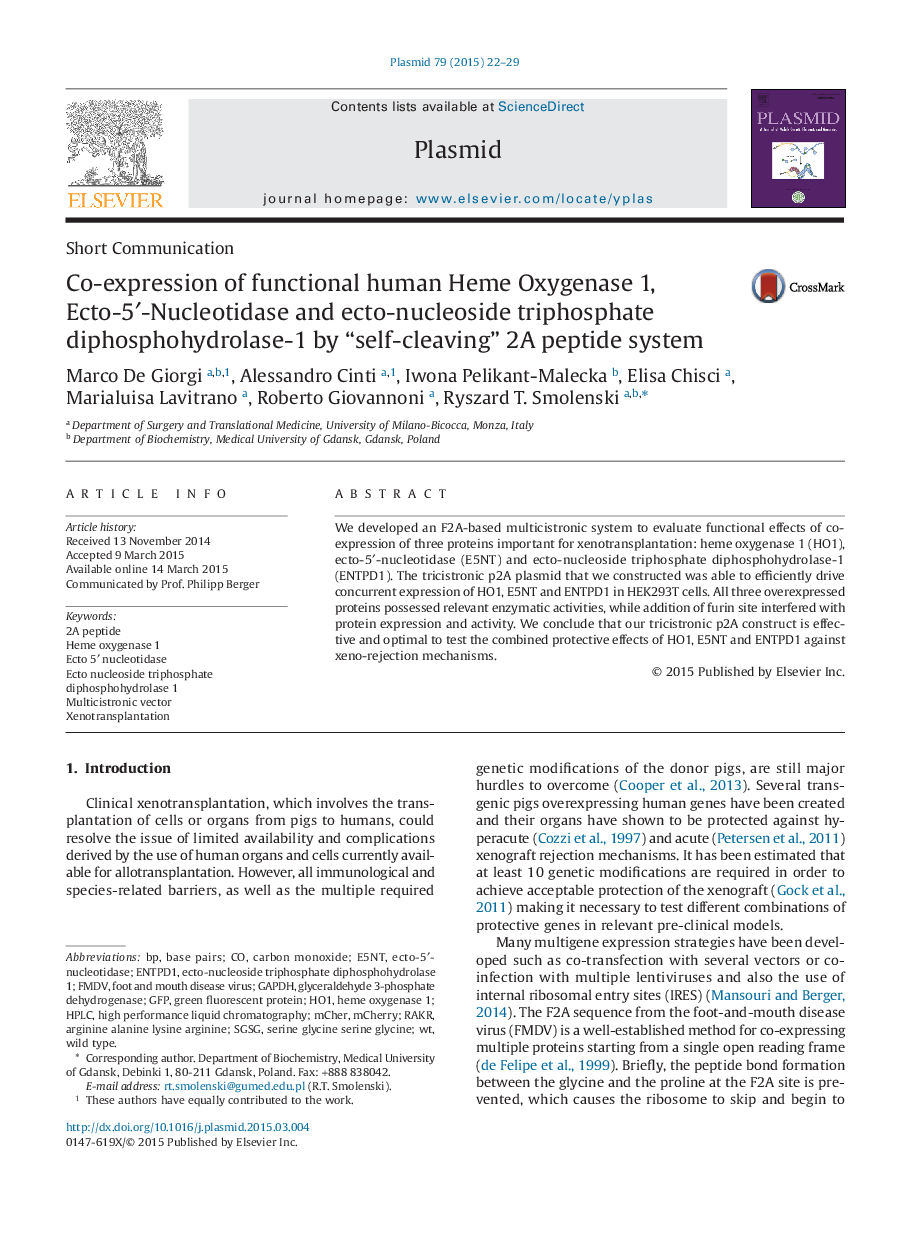 عکس صفحه اول مقاله: Co-expression of functional human Heme Oxygenase 1, Ecto-5′-Nucleotidase and ecto-nucleoside triphosphate diphosphohydrolase-1 by “self-cleaving” 2A peptide system Co-expression of functional human Heme Oxygenase 1, Ecto-5′-Nucleotidase and ecto-nucleoside triphosphate diphosphohydrolase-1 by “self-cleaving” 2A peptide system