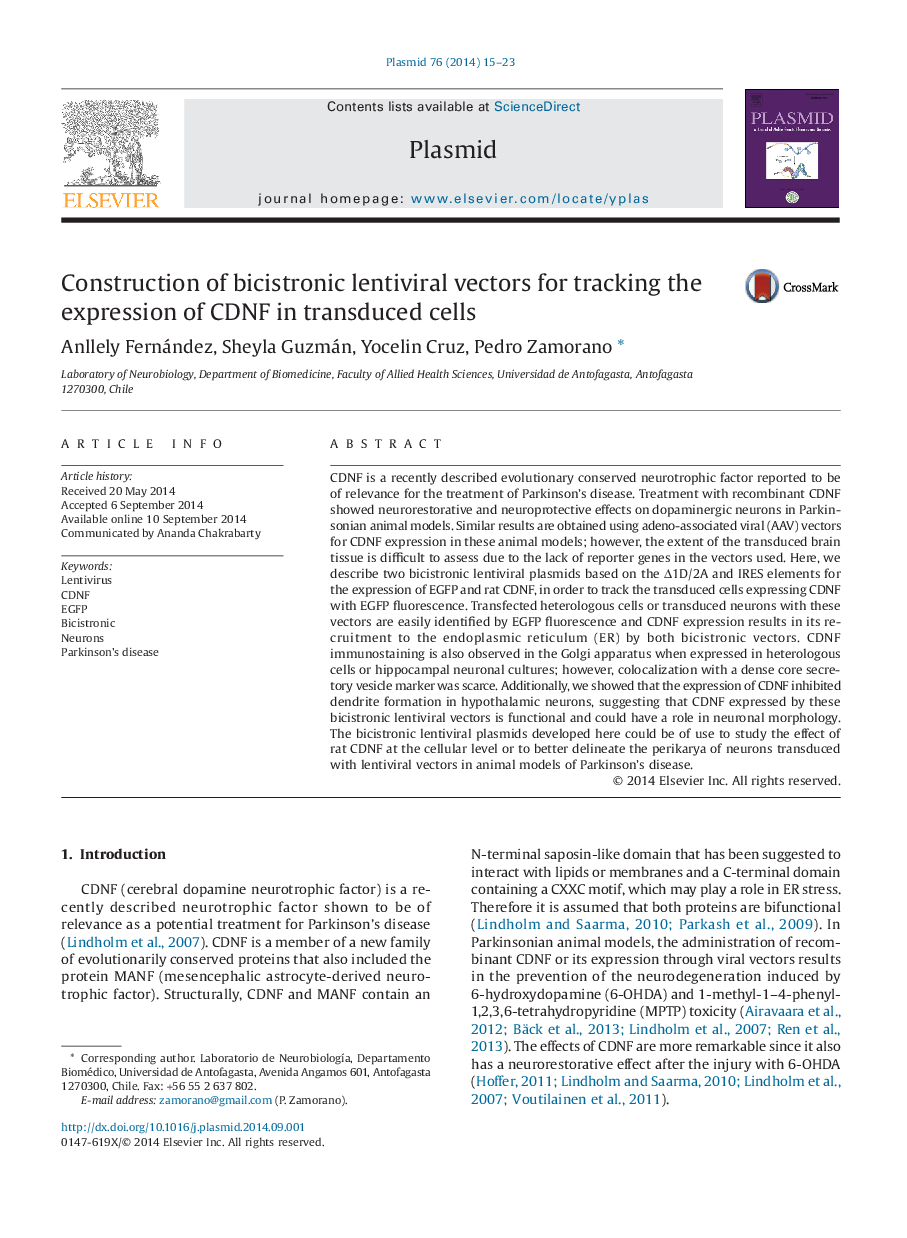 Construction of bicistronic lentiviral vectors for tracking the expression of CDNF in transduced cells